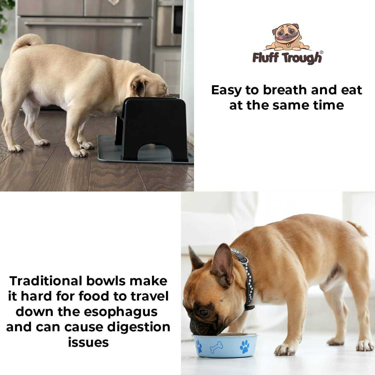 Elevated Dog & Cat Feeder N326653