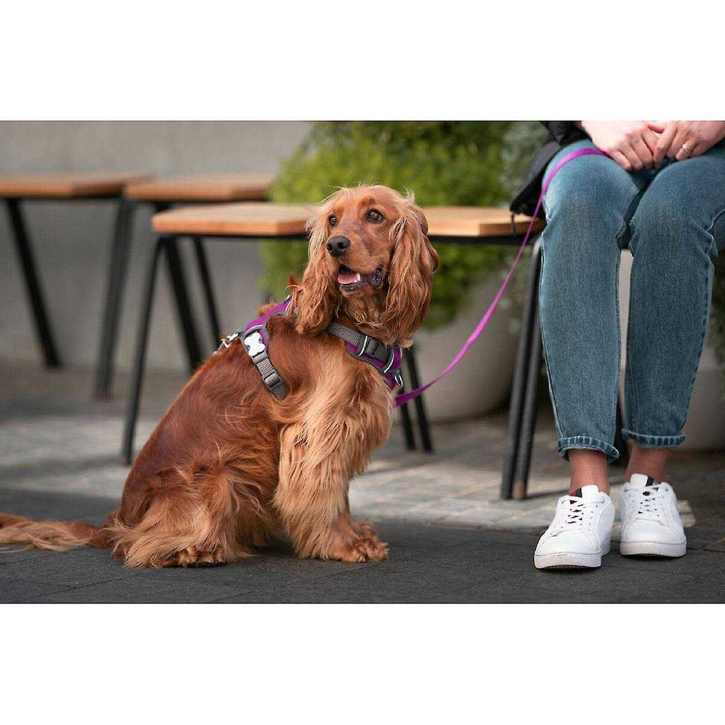Padded Dog Harness H1937