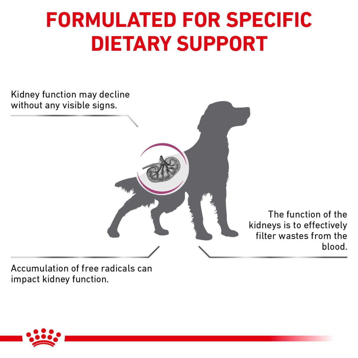 Veterinary Diet Canine Renal Support Dry Dog Food G5028
