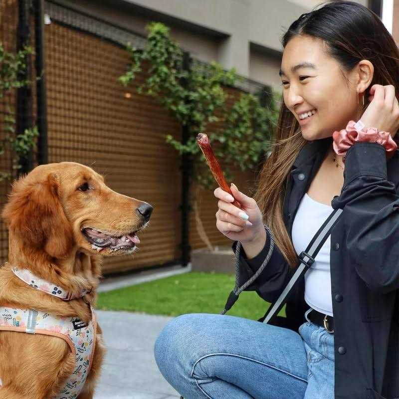 Bully Stick Dog Chew C84784