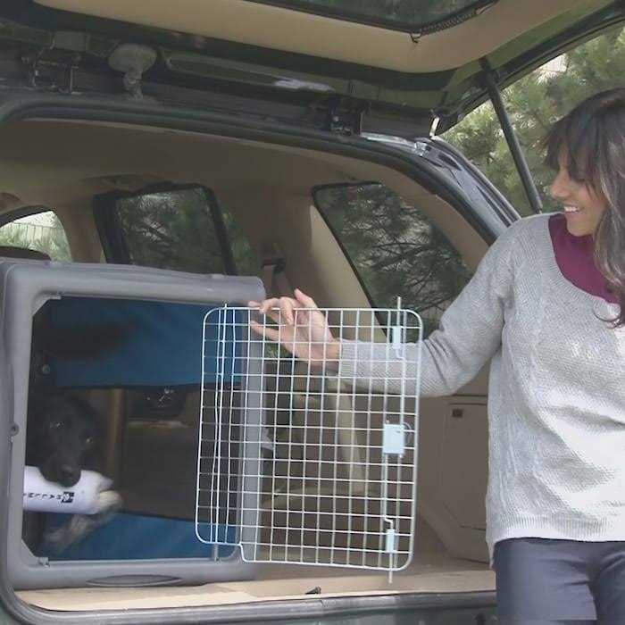 Pop up Travel Crate C273