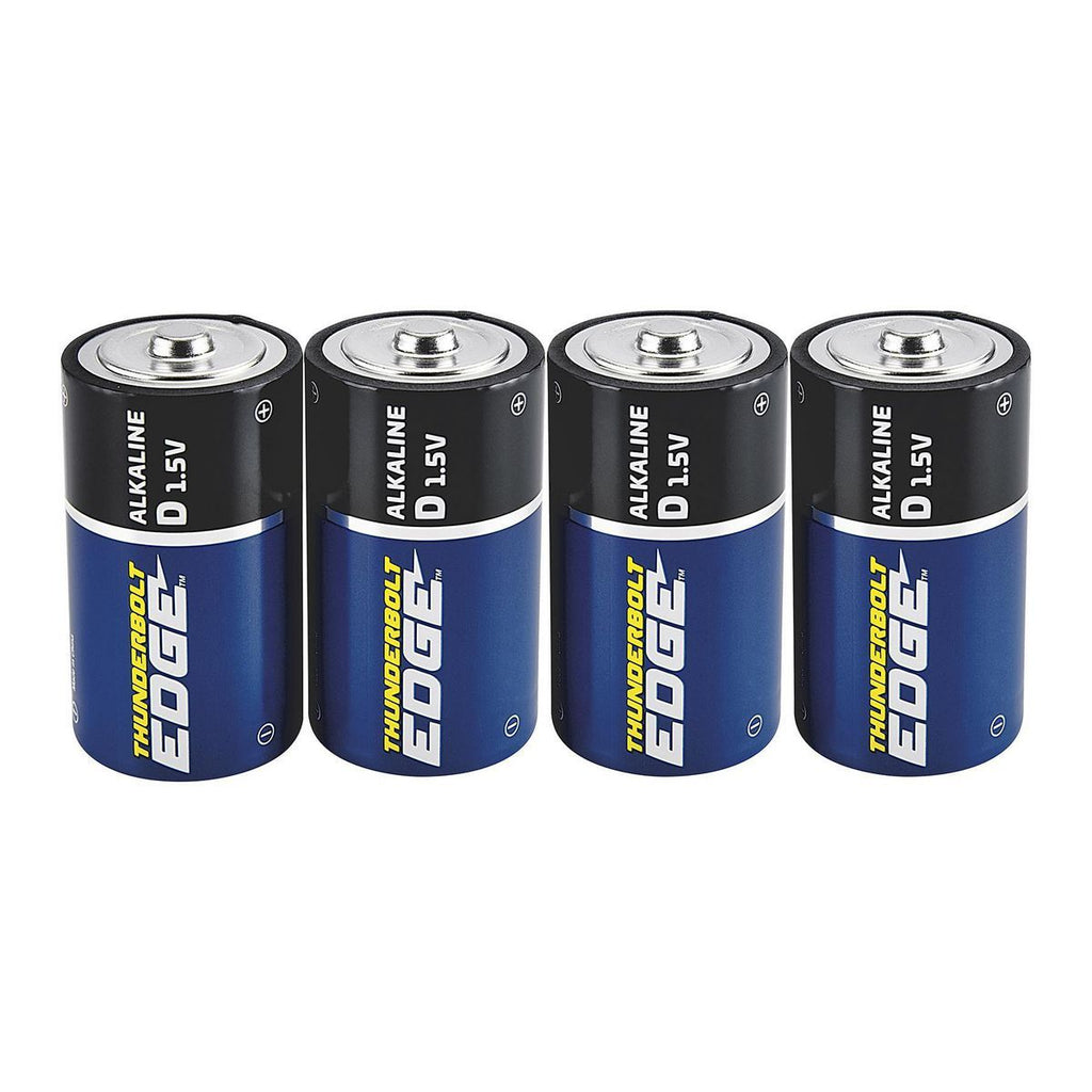 Alkaline Batteries, 4 Pack D724975