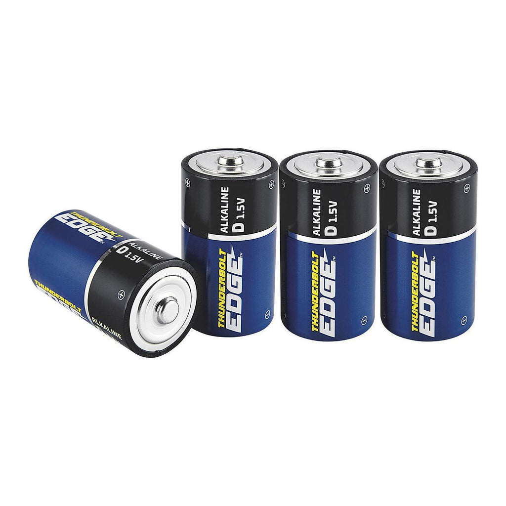 Alkaline Batteries, 4 Pack D724975