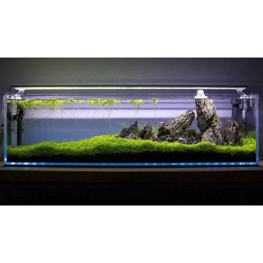 High Clarity Bookshelf Aquarium U14068