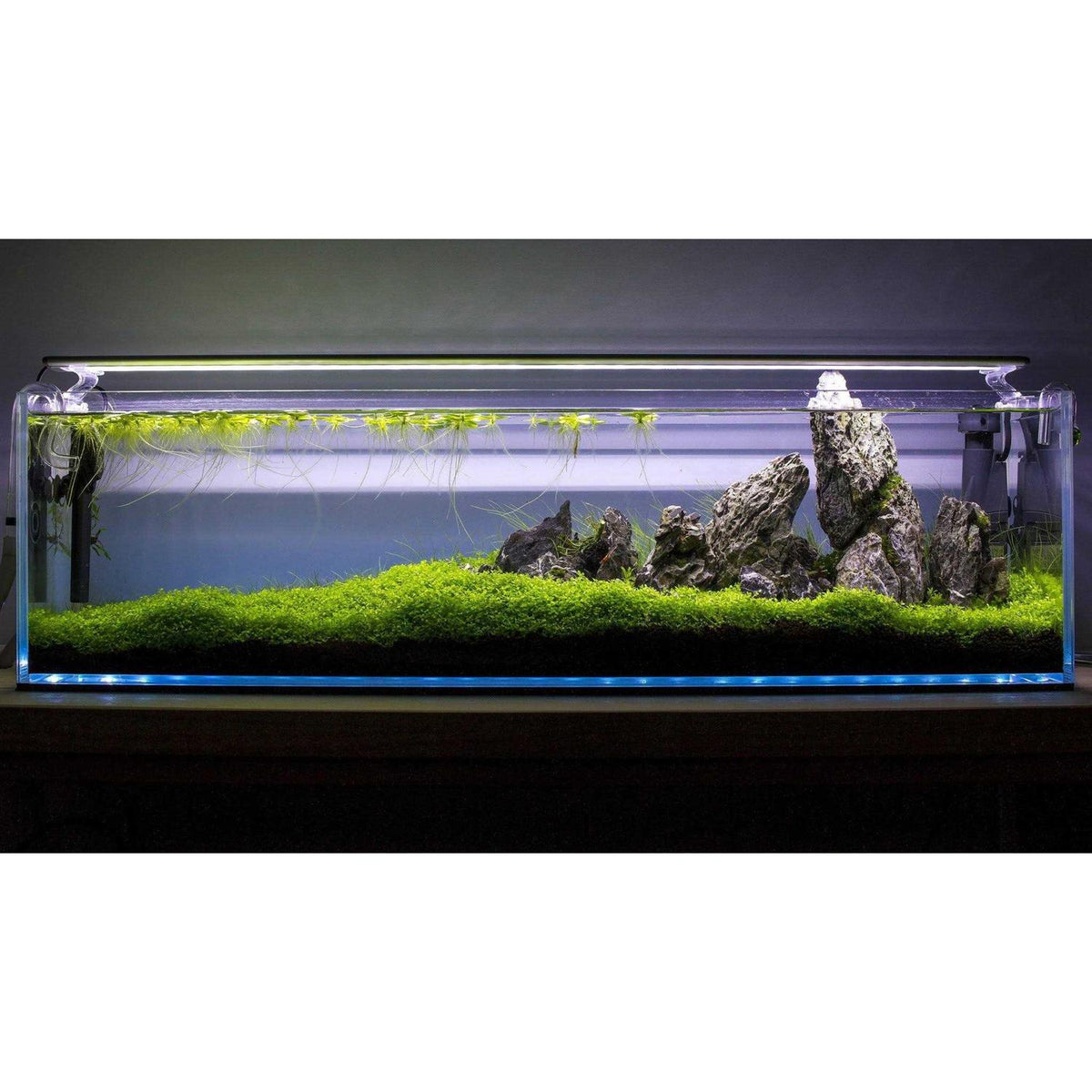 High Clarity Bookshelf Aquarium U14068