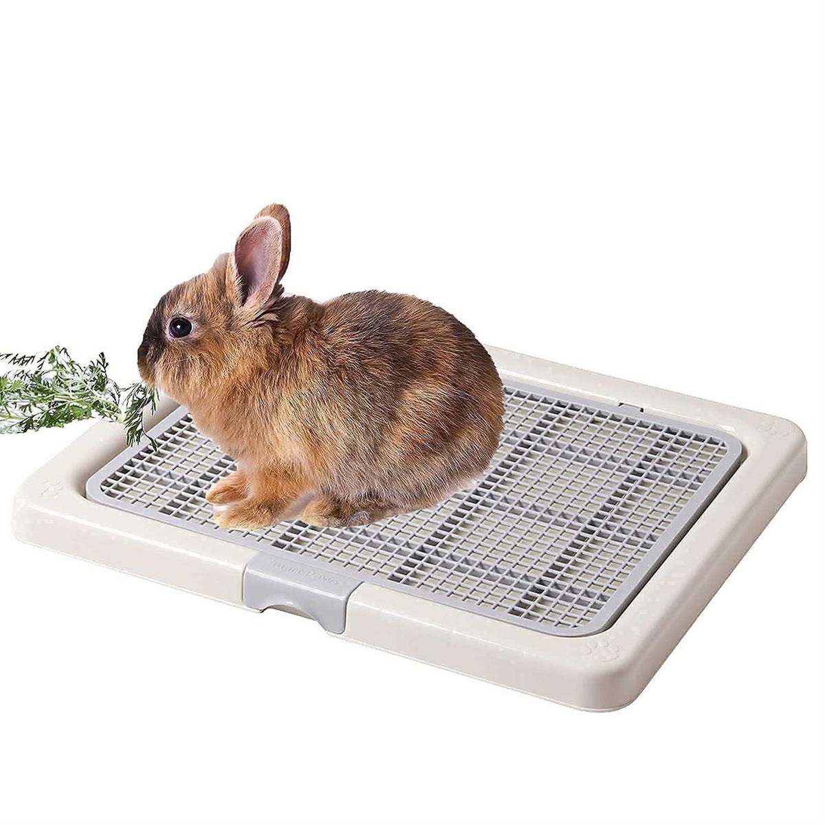 Small Dog Toilet Training Tray S52398