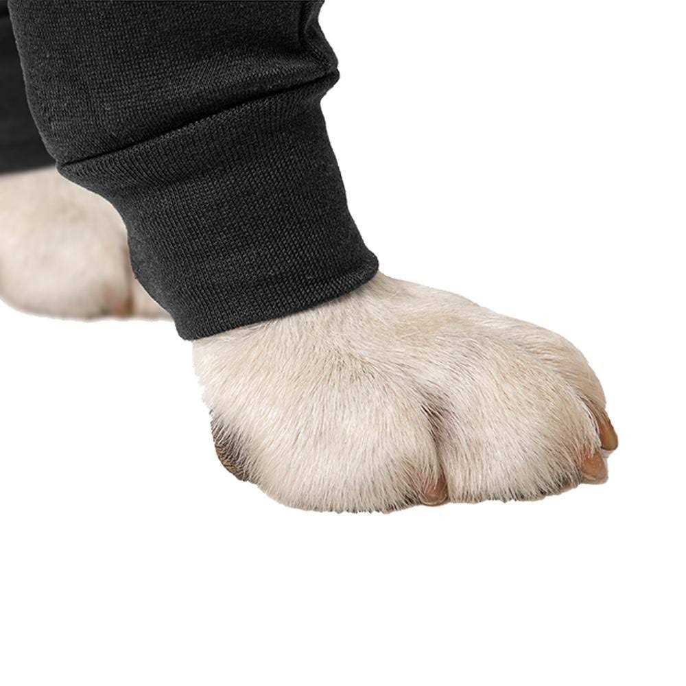 Dog Recovery Double Sleeves Y419