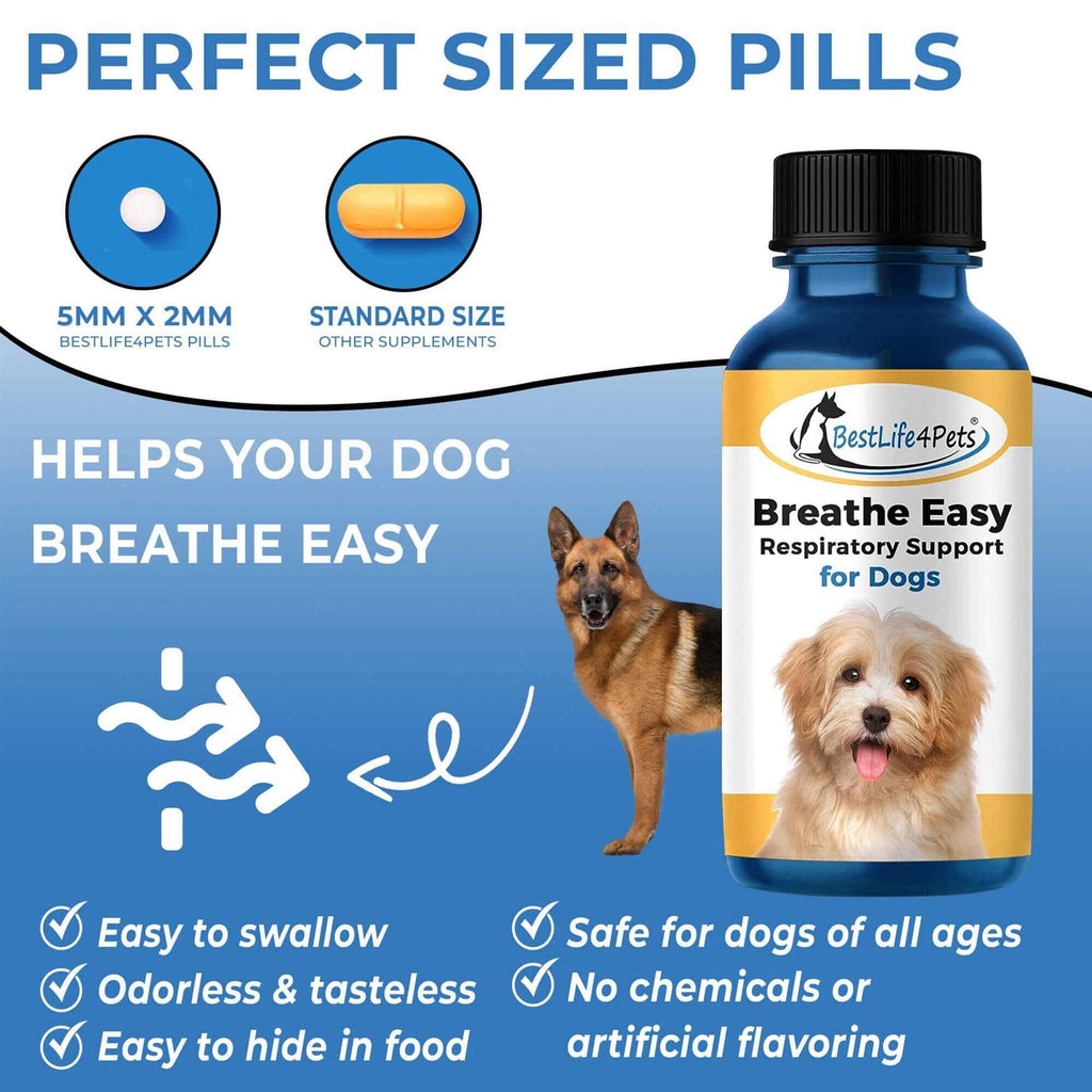 Breathe Easy for Dogs I463541
