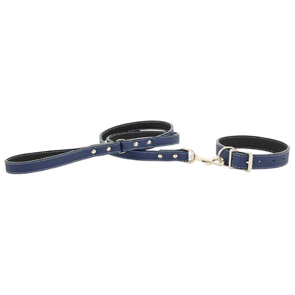 Leather Dog Collar E883787