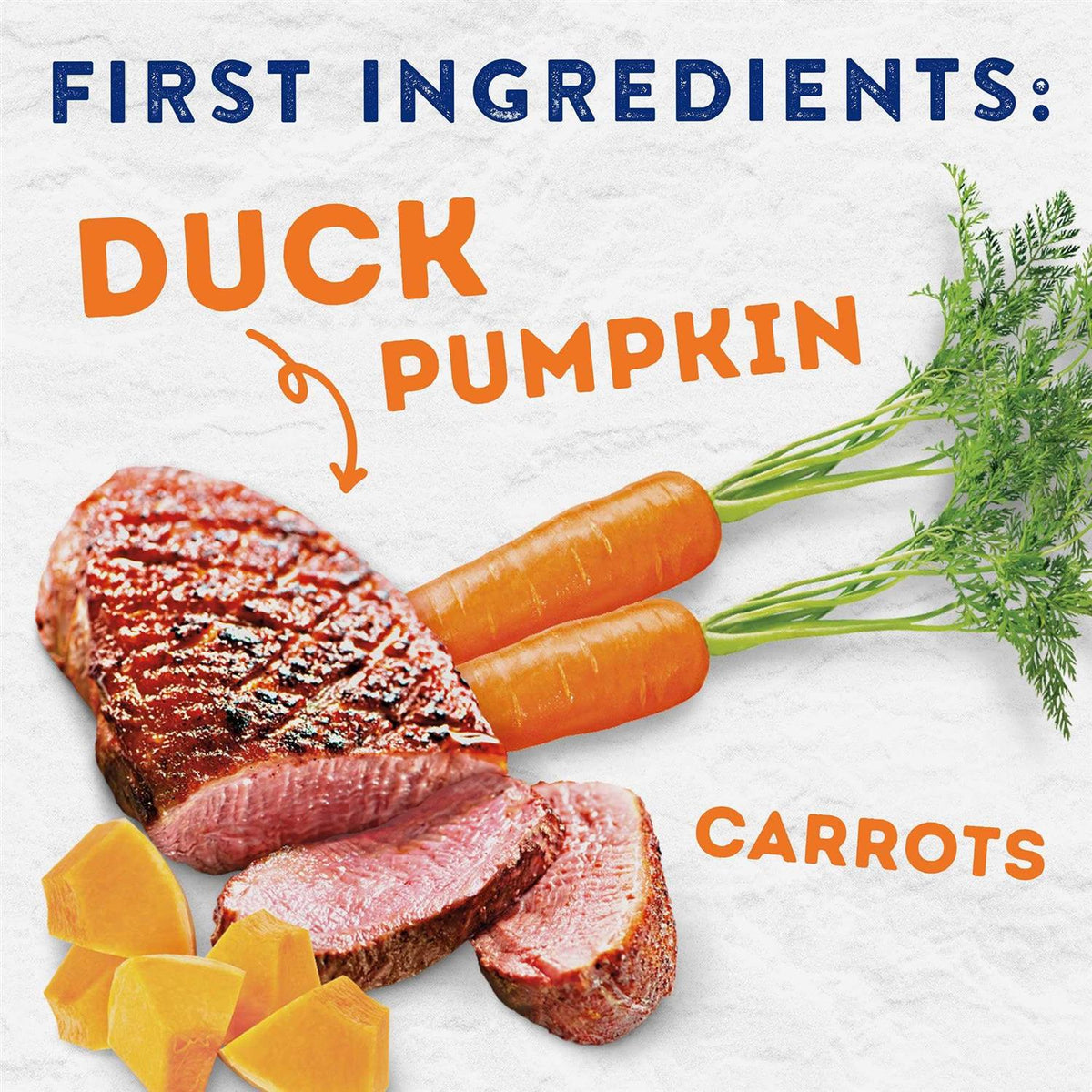 Savory Duck & Pumpkin Recipe Wet Dog Food R953