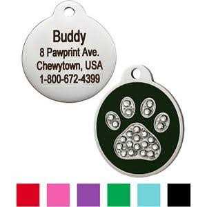 Stainless Steel Personalized Dog & Cat ID Tag Z7375