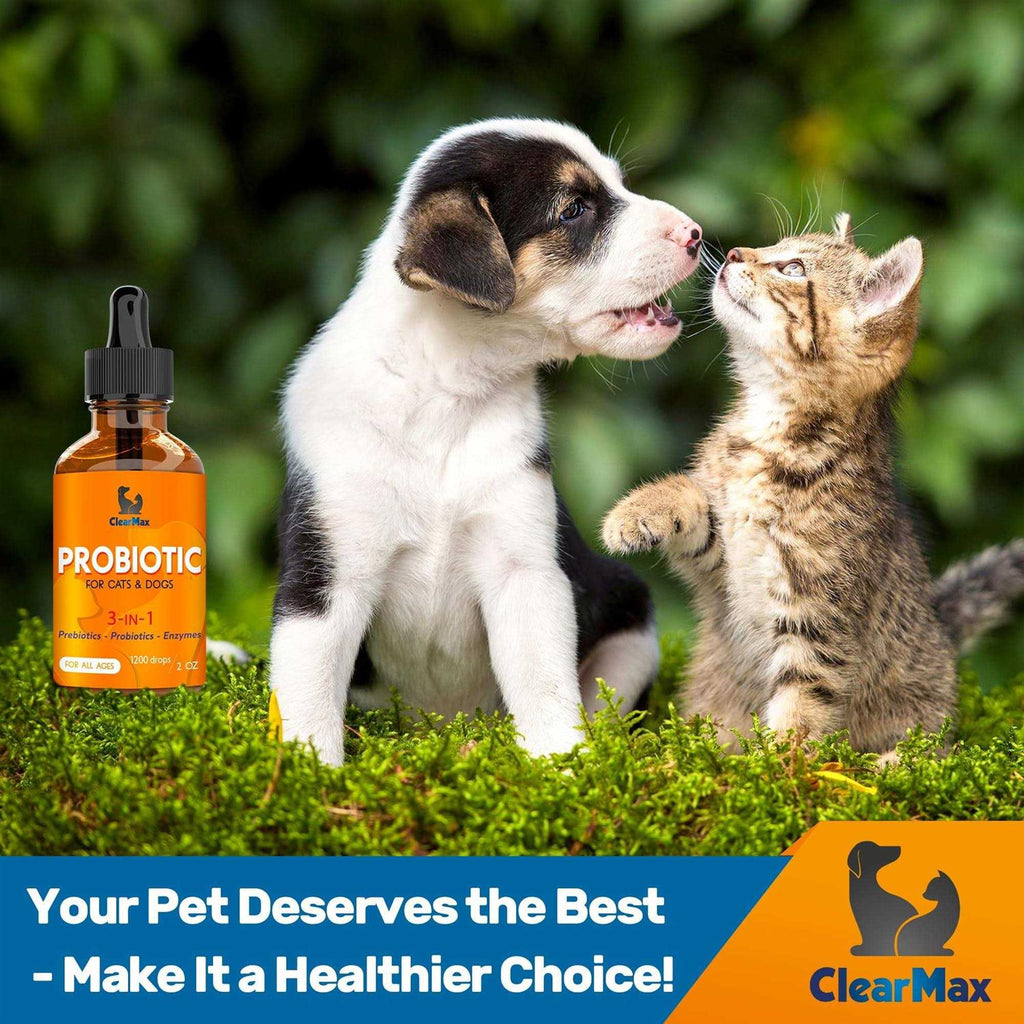 Probiotics for Dogs and Cats E397881