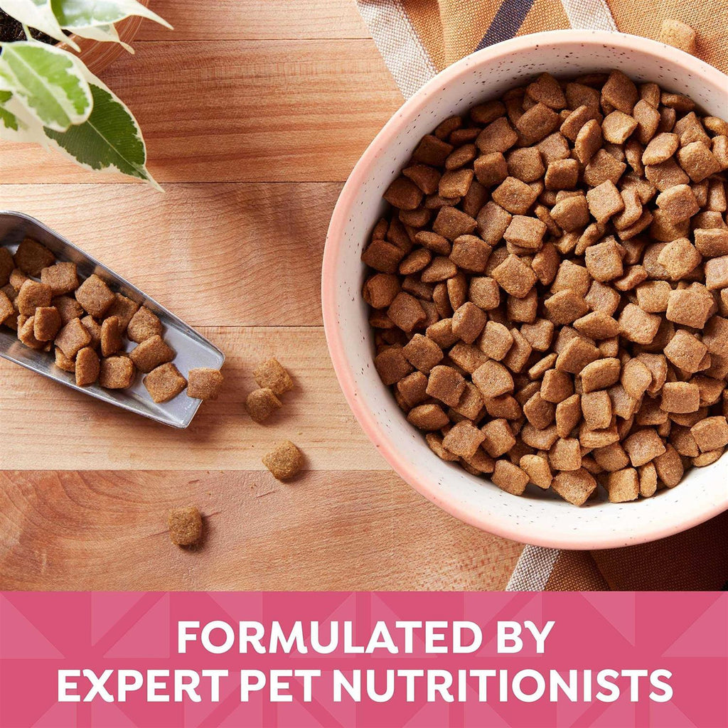 Grain Free Dry Dog Food W1587
