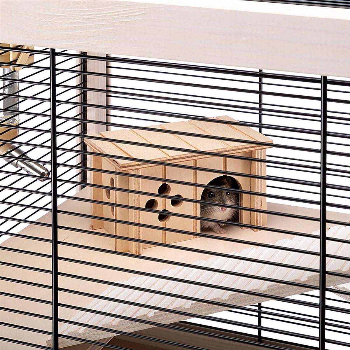 Hamster Cage Q39411