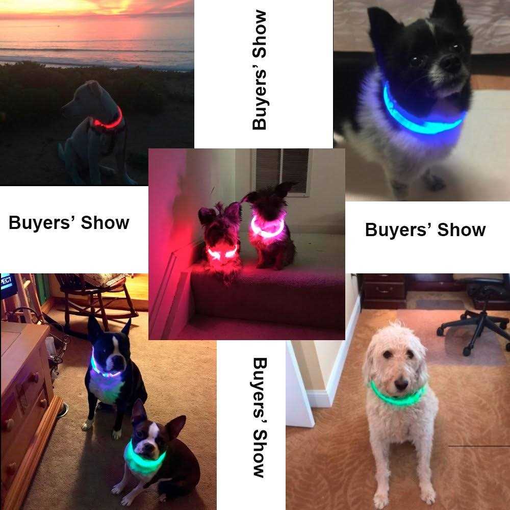 Light Rechargeable LED Dog Collar O326976