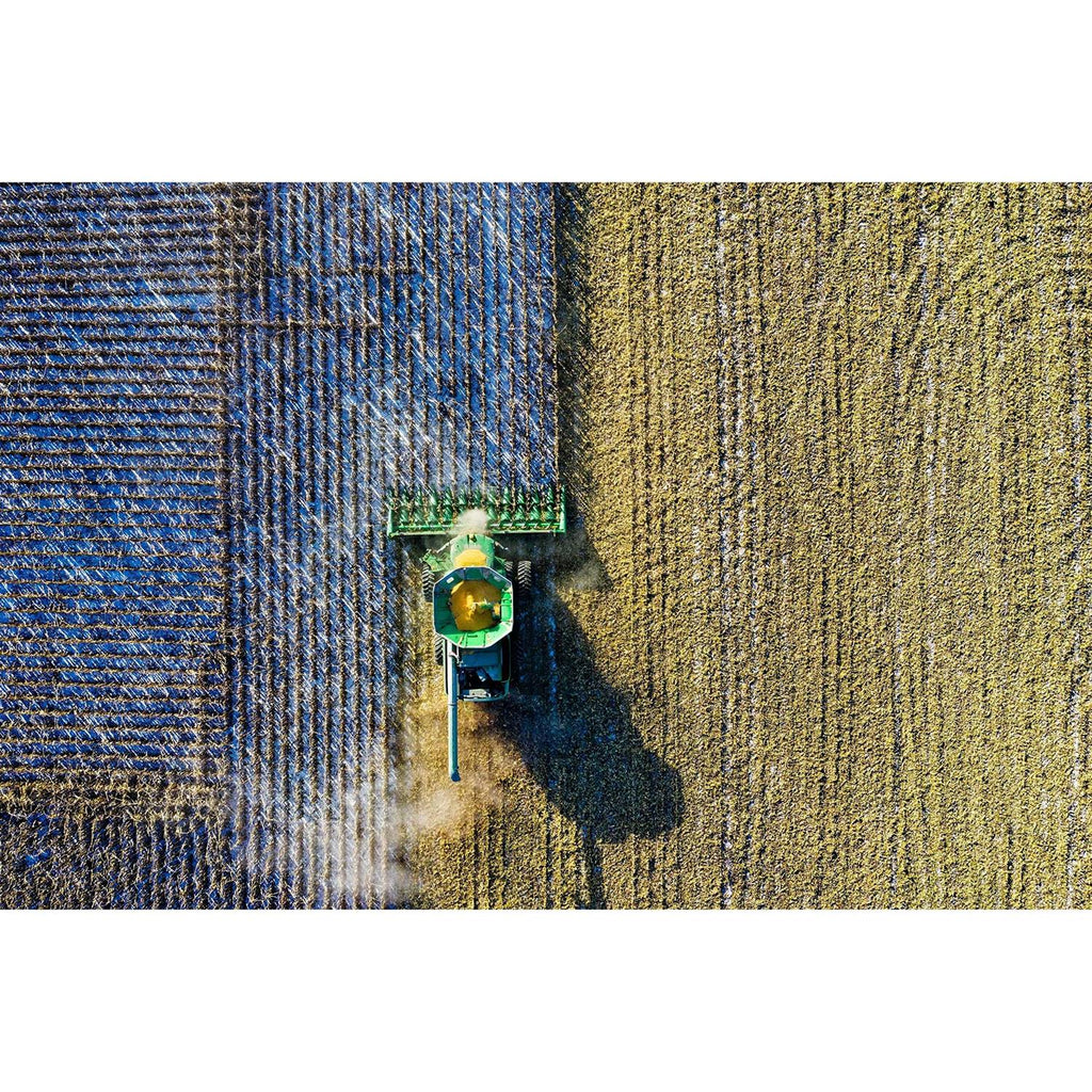 Whole Corn for Wildlife Feeding R43532