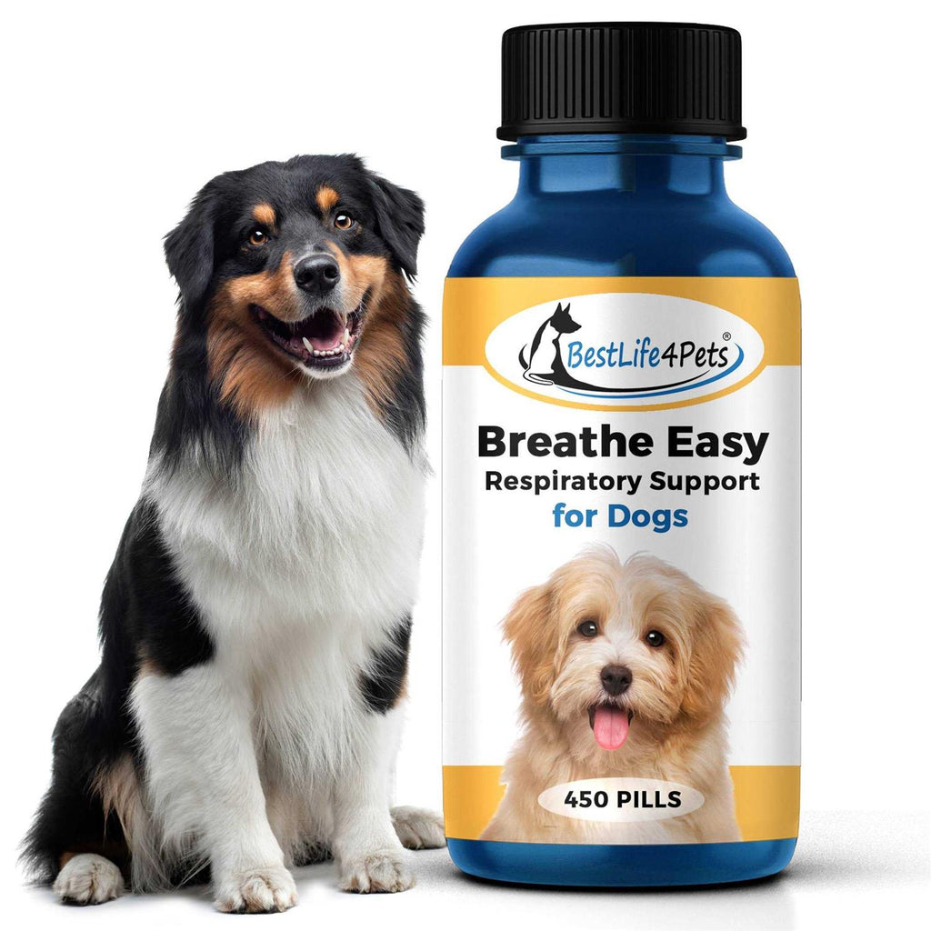 Breathe Easy for Dogs I463541