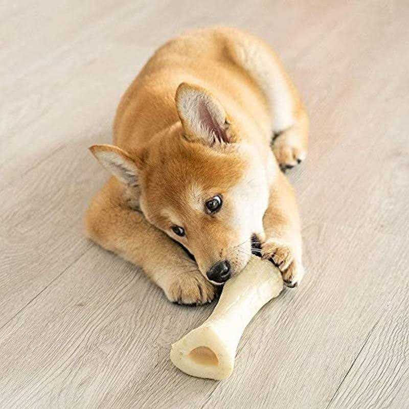 Mini Lamb Chop Dog Toy H41740