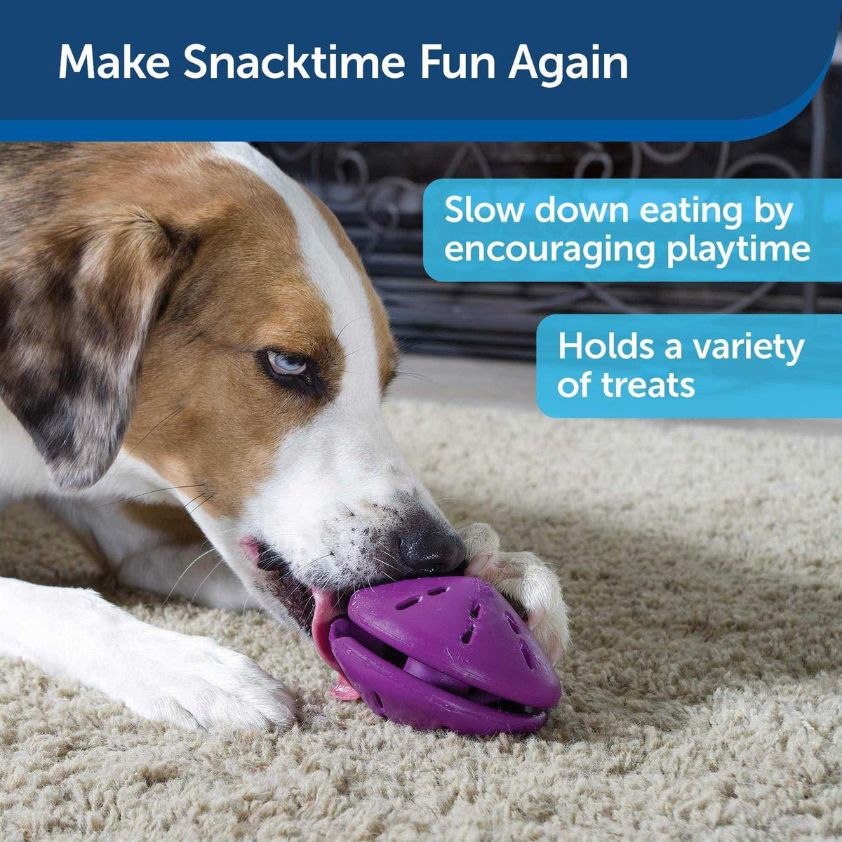 Dog Toy T87398