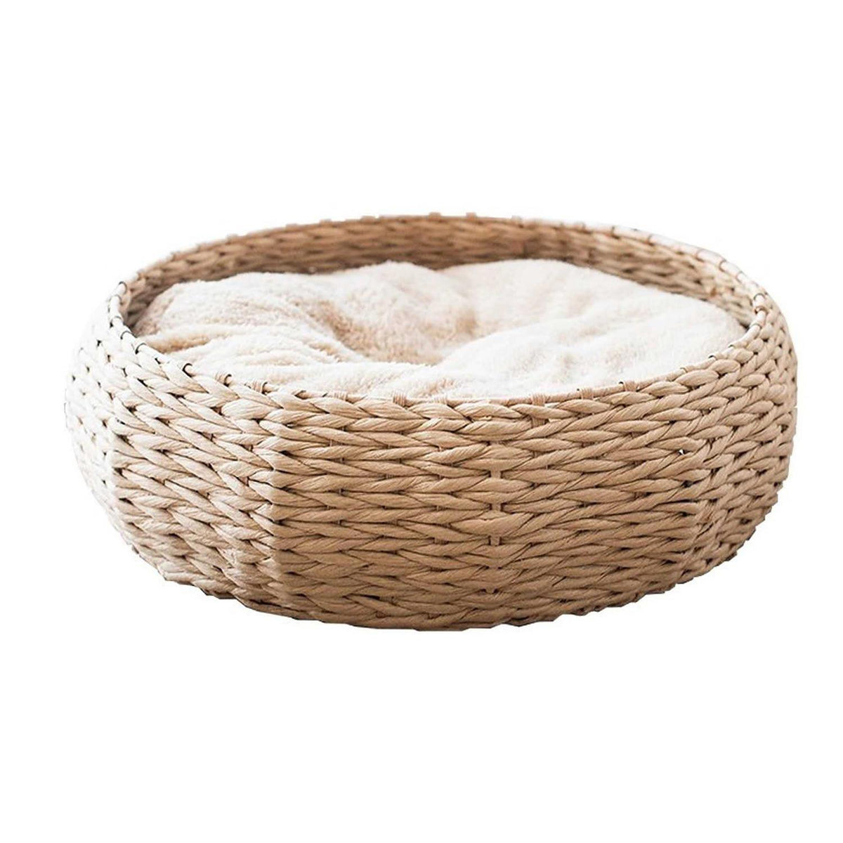 Seagrass Bed R655