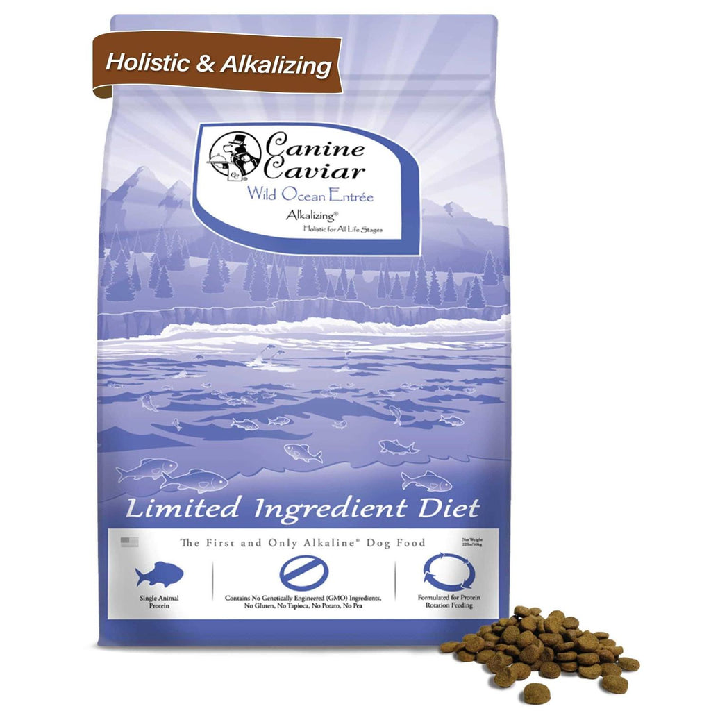 Grain-Free Dry Dog Food U308299