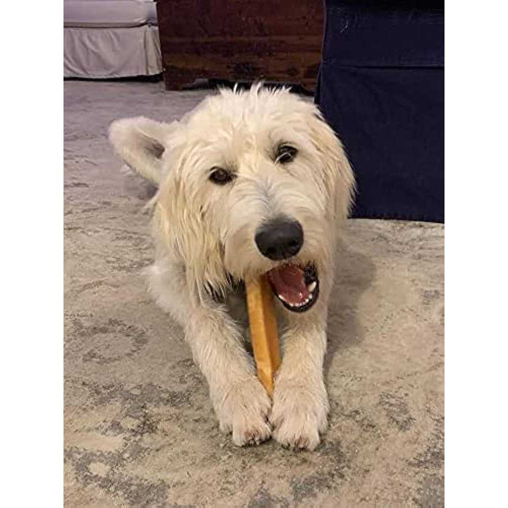 Himalayan Yak Cheese Dog Chew XL A7517
