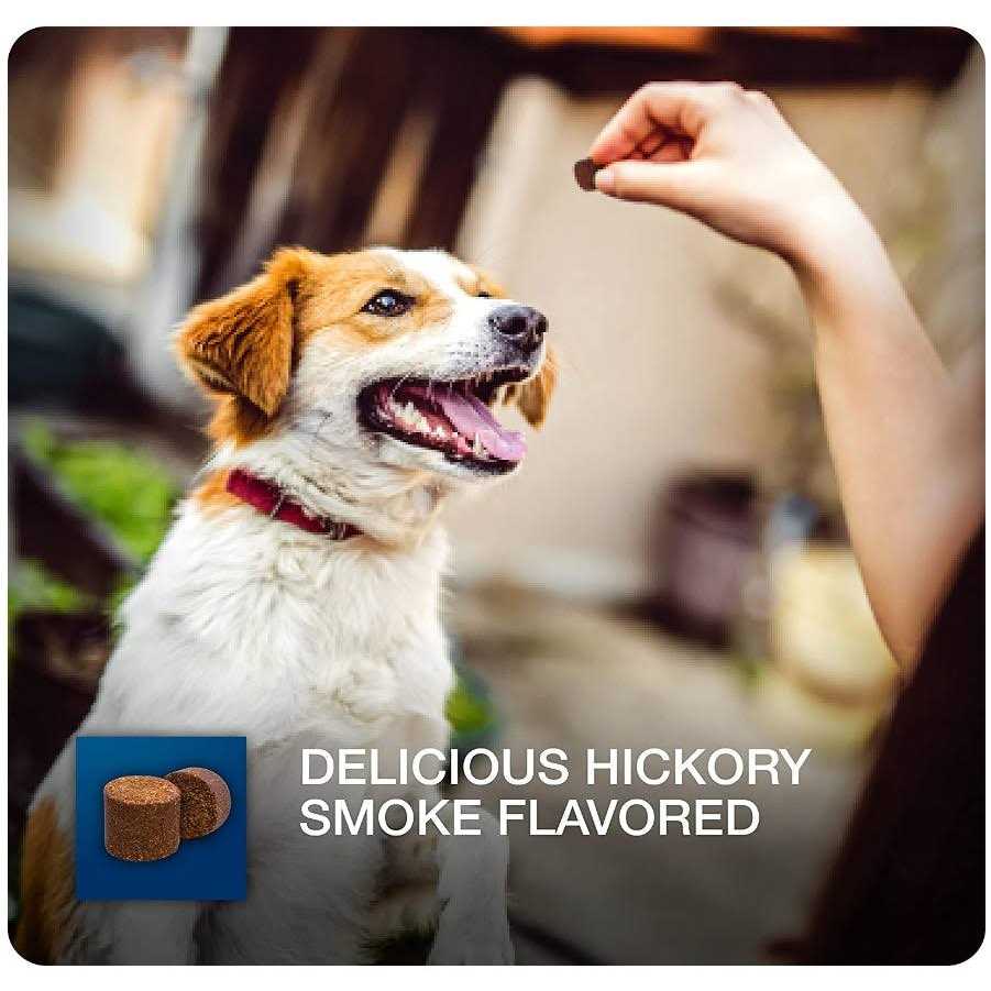 Soft Chews for Dogs A12788