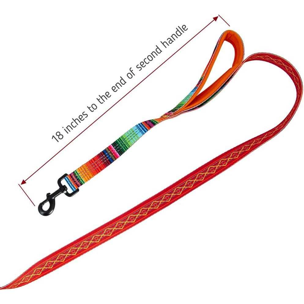 6ft Dog Leash Padded Handle C944795