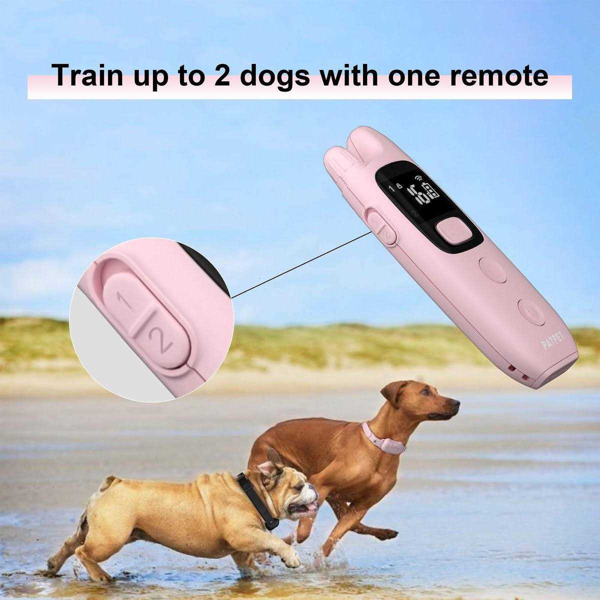 Remote Dog Training Collar Z203539