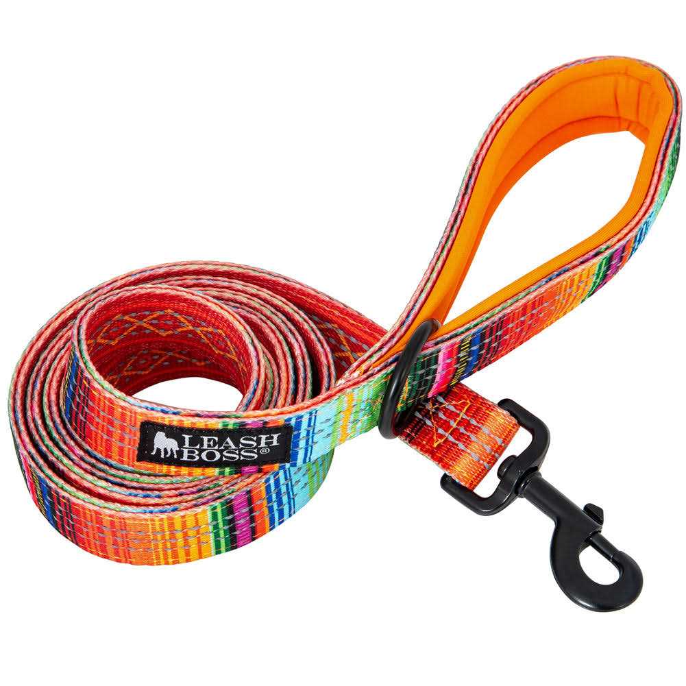 6ft Dog Leash Padded Handle C944795