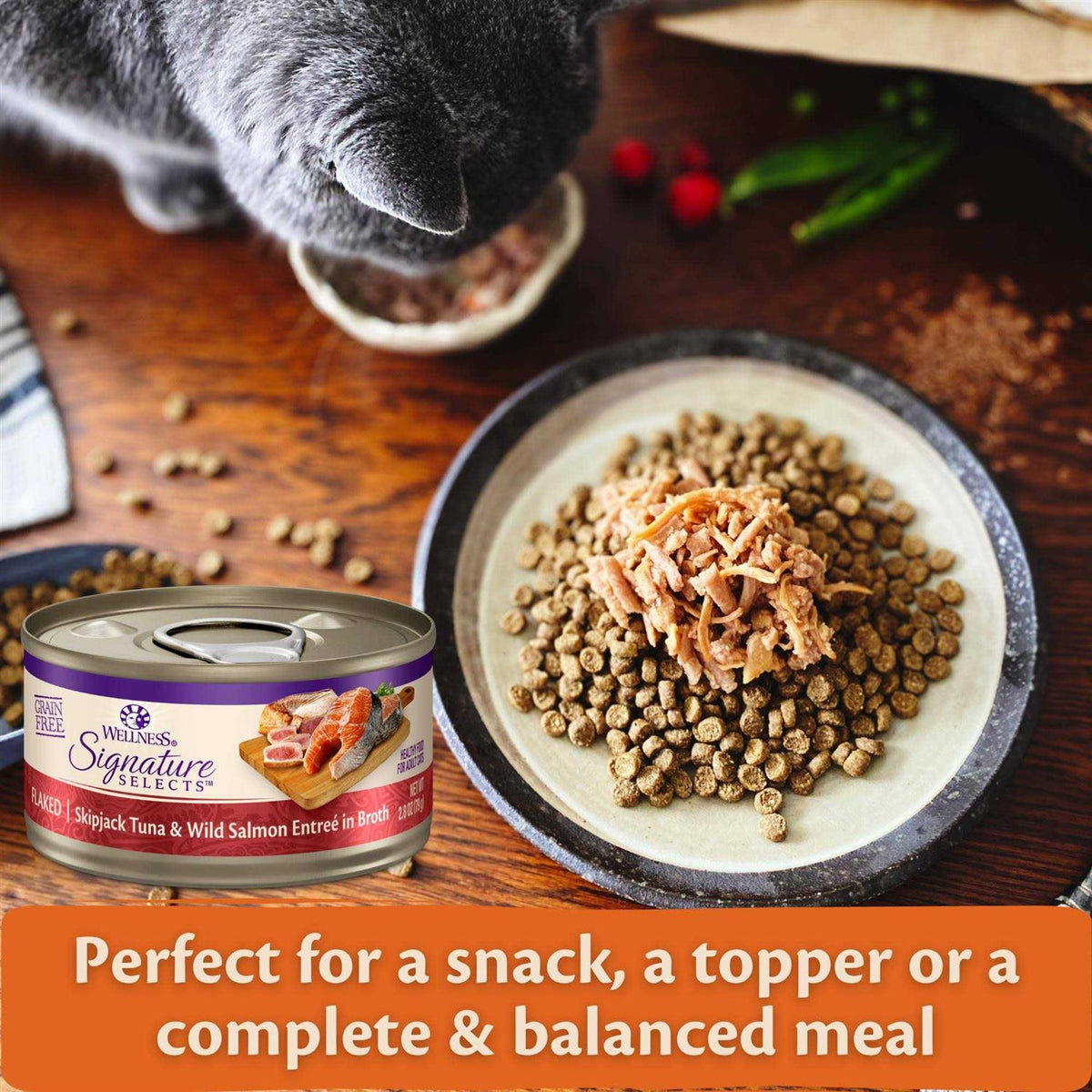 Grain Free Skipjack Tuna & Wild Salmon Canned Cat Food V95772