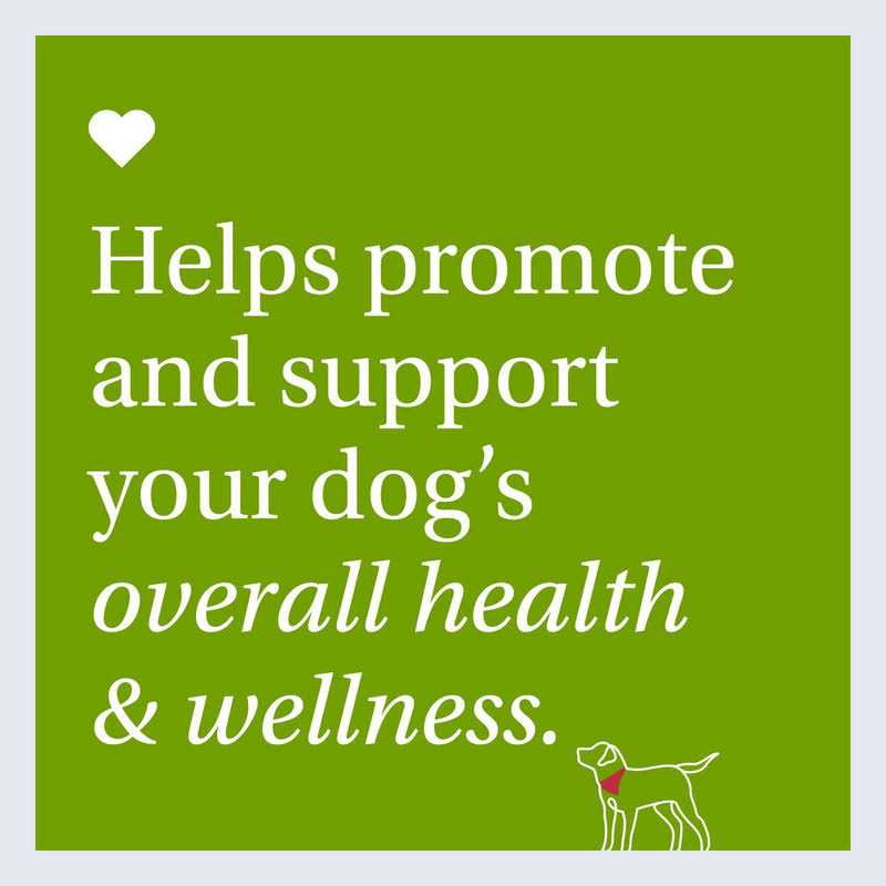 22 in 1 Dog Multivitamin Q520124