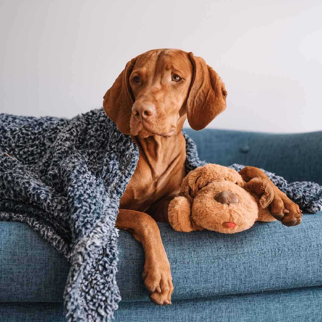 Brown and White Snuggle Puppy A7567