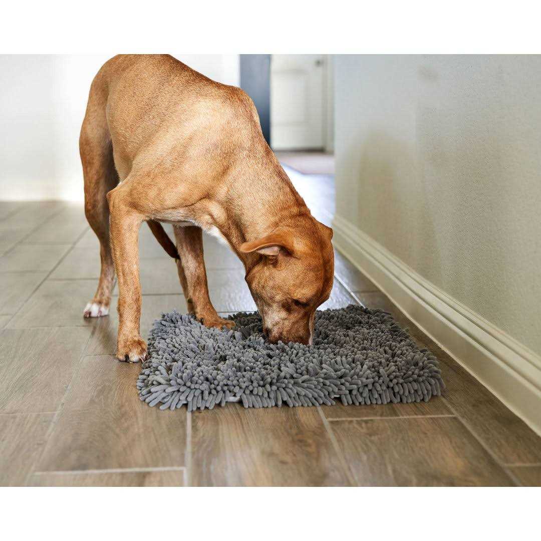 Slow Feeder Cat & Dog Snuffle Mat F716