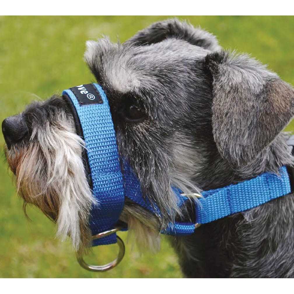 Dog Head Collar Halter F121