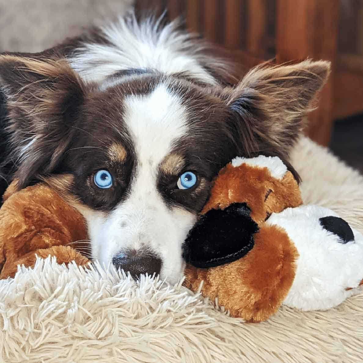 Brown and White Snuggle Puppy A7567