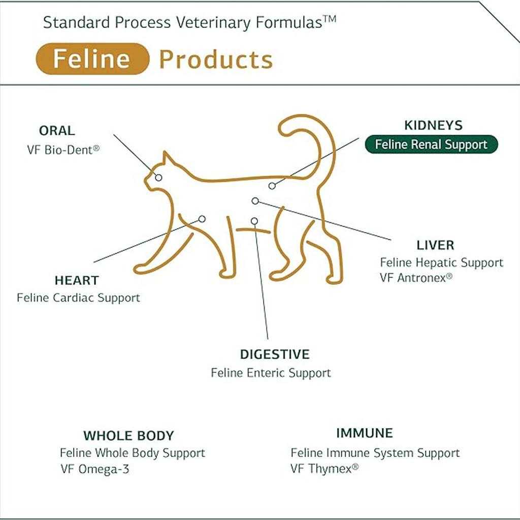 Renal Support K284110