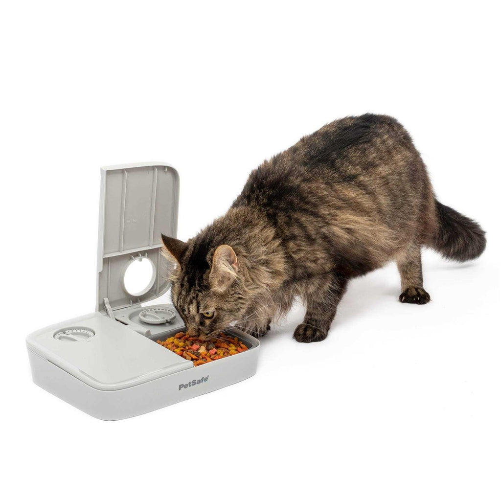 Automatic 2 Meal Pet Feeder O7142